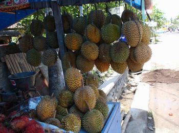 durian.JPG